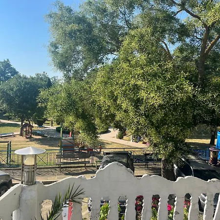 за гости бела