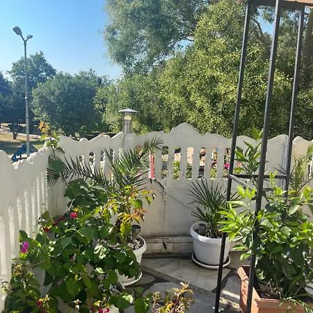 за гости бела Ahtopol