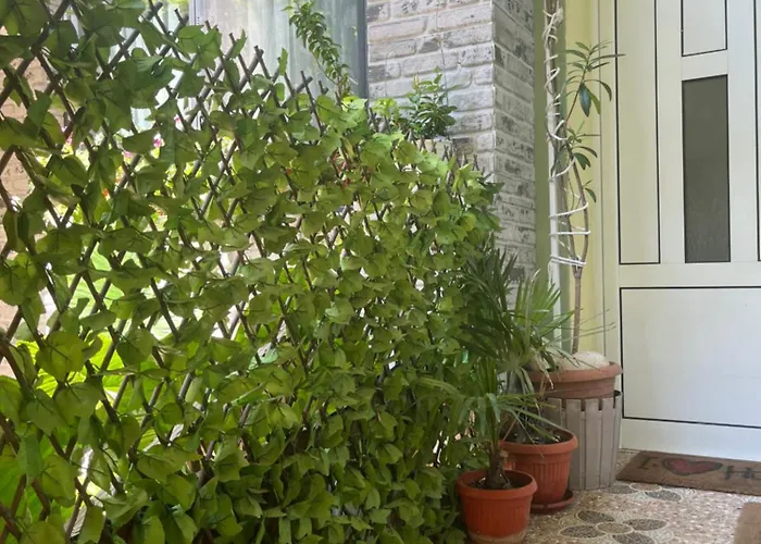 Pensiune за гости бела