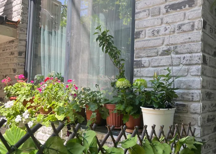 за гости бела Pensiune