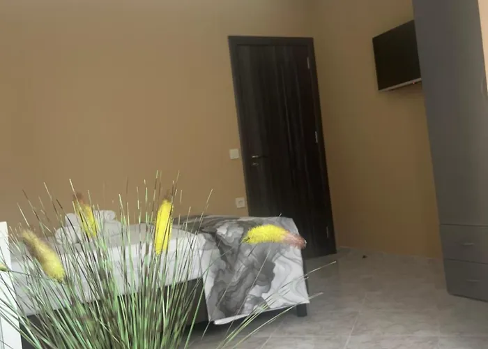 за гости бела * Ahtopol